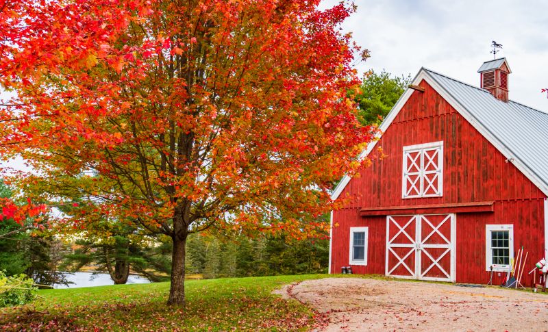 Pole Barn Painting