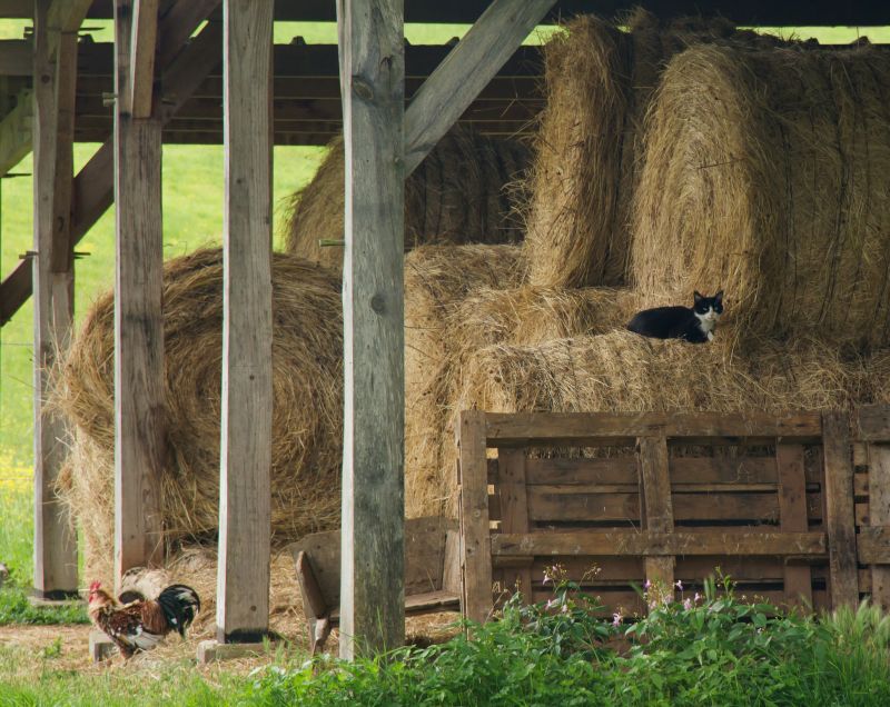 Pole Barn Painting in Spring